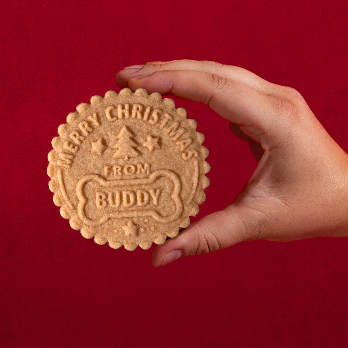 Holly Jolly Maple Cookie Press & Cutter